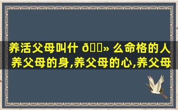 养活父母叫什 🌻 么命格的人「养父母的身,养父母的心,养父母的智」